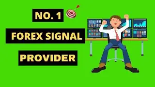 Best forex signals provider 2021