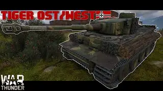 Tiger Power zum 