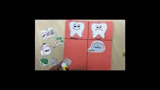 Wk7 Art Thurs - Dental Health Sorting Chart