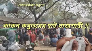 রাজশাহী কাকান হাটে গোল ফটকা এবং গিরিবাজ কবুতরের বর্তমান বাজার দর জেনে নিন ।। 