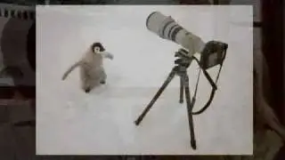 Canon CPN - Jonathan and Angela Scott Wildlife Shooting - The Scotts' Kit 4/4