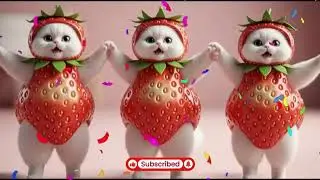 बिल्ली डांस | Cutest Cat videos funny dance🤣💃Videos for cats #funny #dancingcat #cat