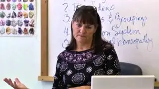 The True Simillimum - The New York School of Homeopathy