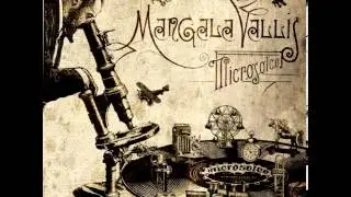 Mangala Vallis - Microsolco