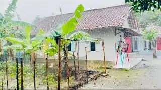 Rain in a beautiful village, calm and comfortable atmosphere when it rains