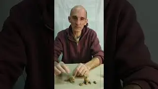 Intuitive Sculpture - Playing Clay 2 Intro - Cats