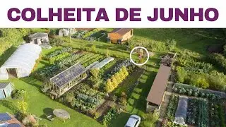 Segredos de Junho: Transforme seu Jardim com o M&eacute;todo Sem Cavar
