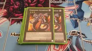 Magnet warrior fossil deck 2020