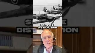 The Air Strategy That Saved Britain in World War II