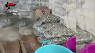 Paderno Dugnano (MI), scoperto bunker sotterraneo per la coltivazione della marijuana