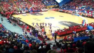 Wildcats Muzz Buzz Dancers Surround Taipans