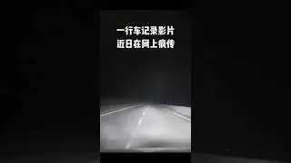 Animals in angry mood 🤬#animals #dangerous #hit #accidentnews #caughtoncamera #car #crash #injured