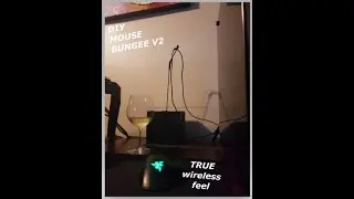 DIY Mouse Bungee v2