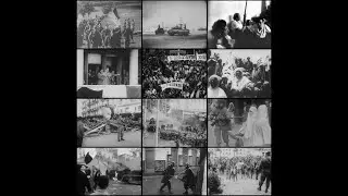 Algeria's Fight for Freedom: A Million Lives Lost, A Nation Reborn
