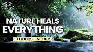 🌲 Forest Stream #asmr Deep Sleep & Calm Music 10H No Ads | Galo Studio Zen #deepsleep #relaxingmusic