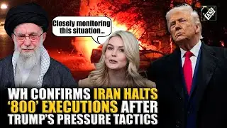 “Closely monitoring situation…”: White House Press Secy Leavitt confirm Iran halts ‘800’ executions