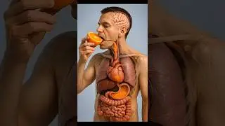 Orange Juice Peene Se Body Me Kya Hota Hai? 🍊 #science #sciencedaily #scienceengagement