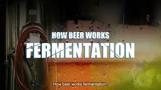 Tiantai Brewery Equipment: How beer fermentation tanks work? #brewery #beer #fermentation #fermenter