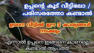 ഉപ്പൻ്റെ കൂട് കണ്ടാൽ 24 മണിക്കൂറിൽ തേടി എത്തുന്ന സൗഭാഗ്യങ്ങൾ. uppan.