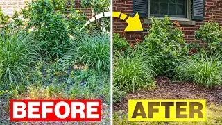 Transforming a Neglected Garden on Father's Day 🌿 Truck Talk #3 [Yard Makeover]