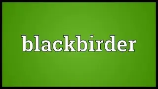 Blackbirder Meaning