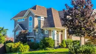 Overgrown Tree | St. Pau, MN - Timberline Tree Service