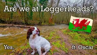 Beautiful North wales walk | That ends in a cosy pub