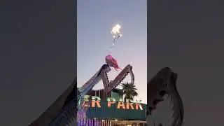 Container Park Mantis