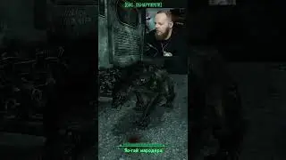 А можно ПЁСИКА погладить? ► Fallout 3 #2 #shorts