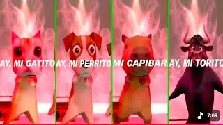  Ay mi gatito Ay mi perrito Ay mi capibarita Ay mi torito versus 2025
