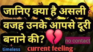 current feeling hindi,आपके पार्टनर की वर्तमान भावनाएं,next action@tarot#collective,timeless❤️❤️love