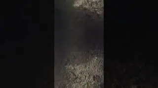 Crazy Clown sighting in East Tennessee haunted cemetery!