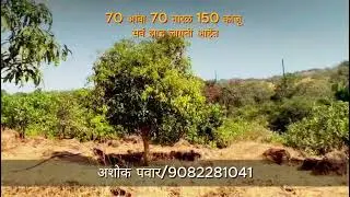 .4 acres of mango, cashew, and coconut orchard for 85 lakhs.
