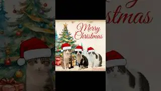 3 Fuzzy Solos Christmas wish for you. #merrychristmas #catchristmas #catshorts