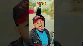 #viral #trending #darbhangamithila #madhubani #melody #viralvideo #trendingreels #subscribe #love