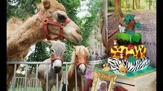 Carter's safari adventures! Mobile petting zoo birthday party  ￼