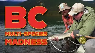 Northern Rockies Adventures