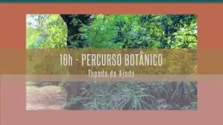 DIA DA ECOLOGIA - POR DO SOL FLORESTAL - CEF - 14 Set. 2017