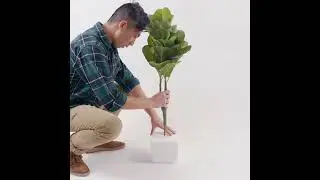 Nearly Natural's Artificial Fiddle Leaf Tree DIY KIT