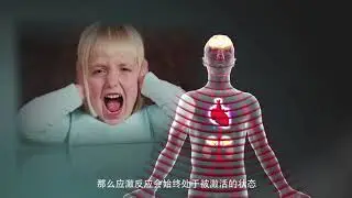 Toxic Stress Derails Healthy Development (Mandarin subtitles)
