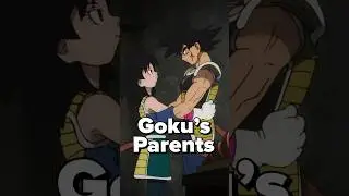 the story of Goku&rsquo;s Parents