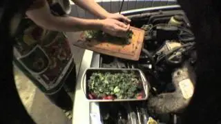 Cooking on the Car (Literally)