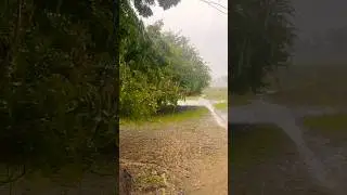Heavy rain panaikkulam#trending #ramnad#music #tamil #tamilsong #music 💯👌