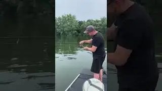 Mega Pike / Hecht, heftiger Einschlag in der Rute auf dem Rhederlaagse