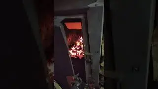 зота мастер икс месяц использования . 24/7