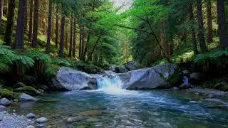 Stress Free River: Peaceful Flow - 24/7 [Ultra HD]
