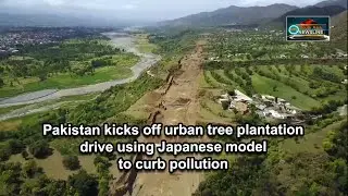 Pakistan kicks off urban tree plantation drive using Japanese model to curb pollution