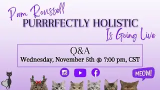 Holistic Cat Care Live Q&A
