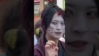 Festival in Japan, cat festival 