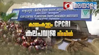 കായംകുളം CPCRI കല്പ വജ്ര നിറവിൽ | KALPAVAJRA KAYAMKULAM CPCRI